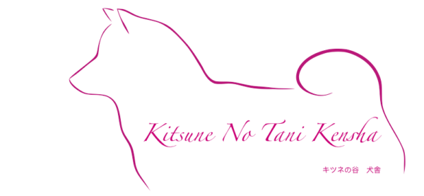 KITSUNE NO TANI KENSHA